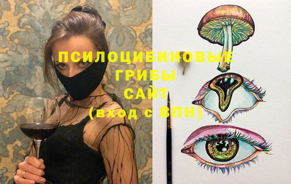 ГАЛЛЮЦИНОГЕННЫЕ ГРИБЫ Алексеевка