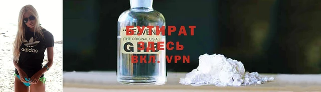 прущие грибы Новозыбков