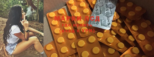 ГАЛЛЮЦИНОГЕННЫЕ ГРИБЫ Алексеевка